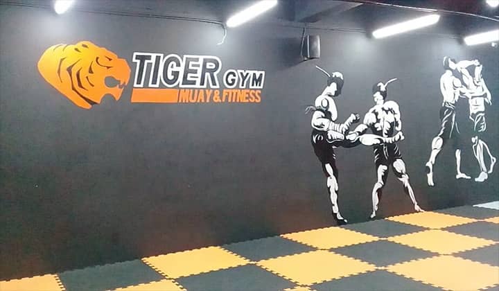 Tiger-Gym